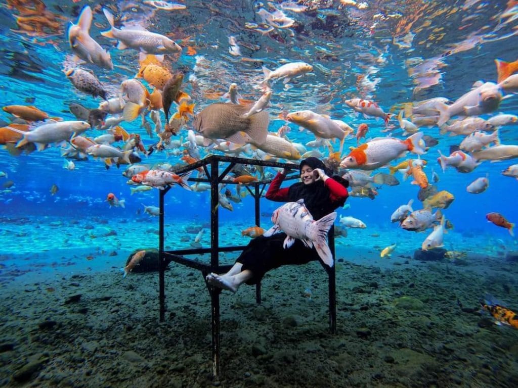 foto bawah air di umbul ponggok klate